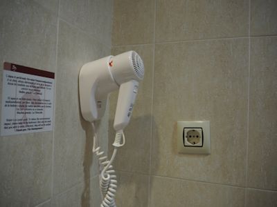 モンセラ (6).JPG
