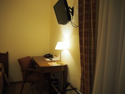 モンセラ (12).JPG