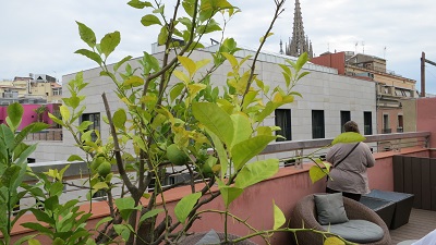 179.JPG