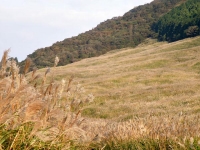 2008/10/18 ÀçÀи¶