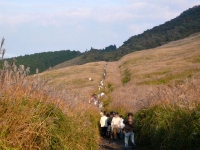 2008/10/18 ÀçÀи¶