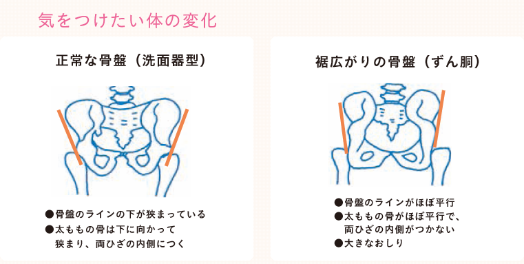 類人猿型骨盤ってなんだ ヨガで骨盤と向き合おう W 広島ヨガ教室スタジオ103美月のお役立ちヨガ情報 彡
