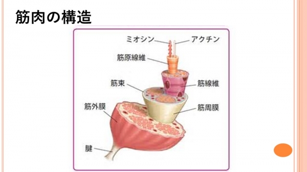 スライド1.JPG