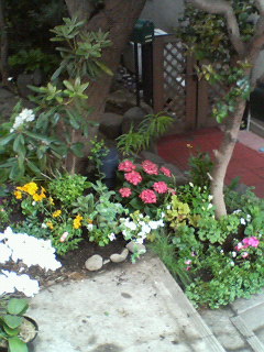 20061219_38824.jpg