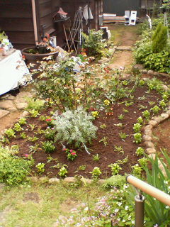 P1000301.jpg