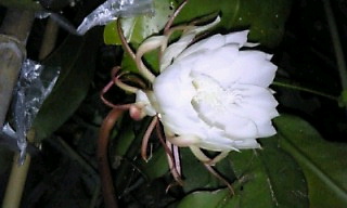 photo.jpg