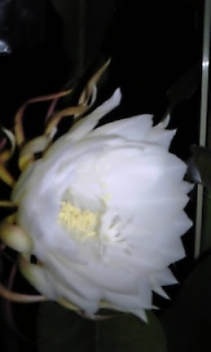 photo.jpg