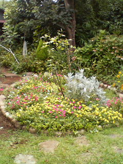 P1000364.jpg