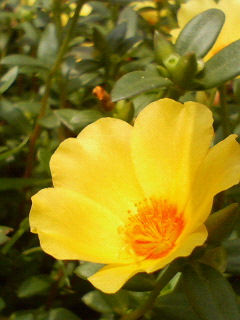 P1000362.jpg