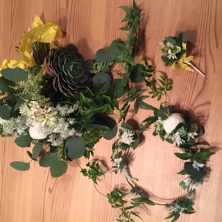 image1.jpeg