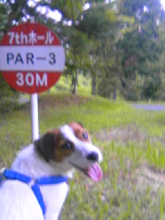 20050901_18350.jpg