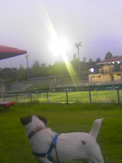 20050901_18355.jpg