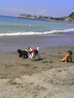 20050913_26621.jpg