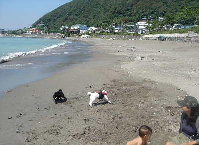 一色海岸3