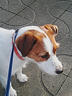 20050926_36201.jpg