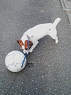 20050926_36204.jpg