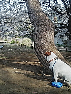 20060401_155791.jpg