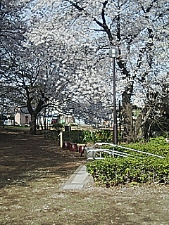 20060401_155792.jpg
