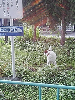 20060601_192398.jpg