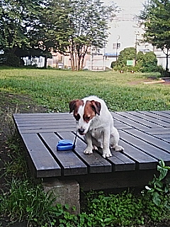 060601_0651~01.jpg