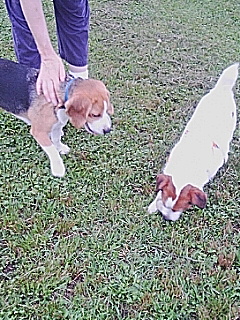 20060701_208209.jpg