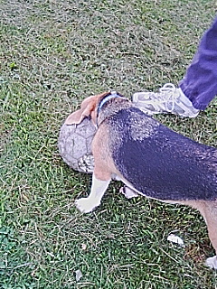 060701_0626~01.jpg