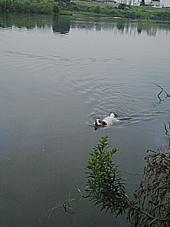 20060824_238067.jpg
