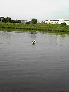 070903_0631~01.JPG