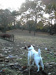 071203_0707~01.JPG