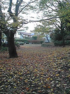 071203_0710~01.JPG