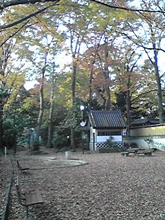071203_0728~01.JPG