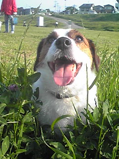 090502_0701~01.JPG
