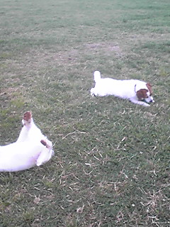 090503_0623~01.JPG