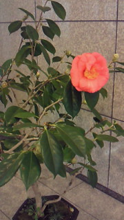 200901281120000.jpg