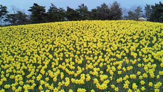 200903131635000.jpg
