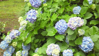 200906061508000.jpg
