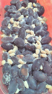 201003140902000.jpg