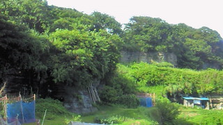 201007191546000.jpg