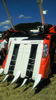 201008281056000.jpg