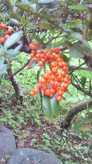 201010071310000.jpg