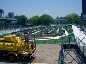 バラ園 まだしょぼい