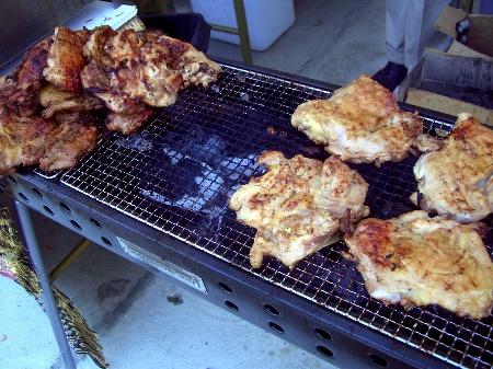 水都大阪2009 中之島公園会場