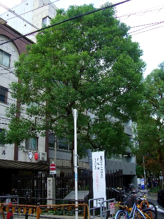 国産ビール発祥の地