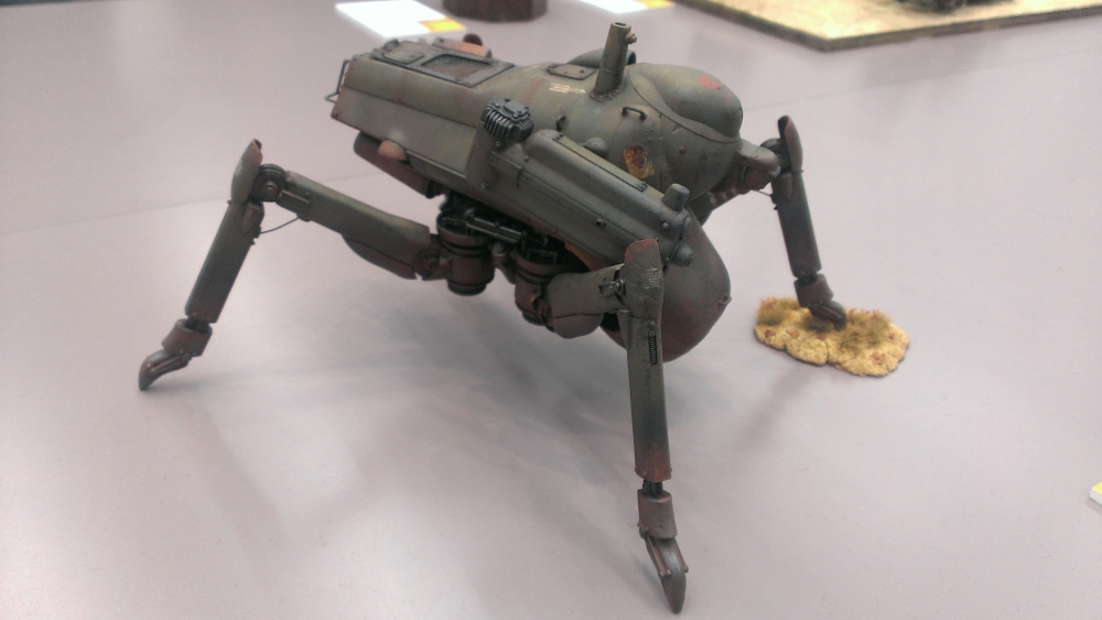 IMAG1353.jpg