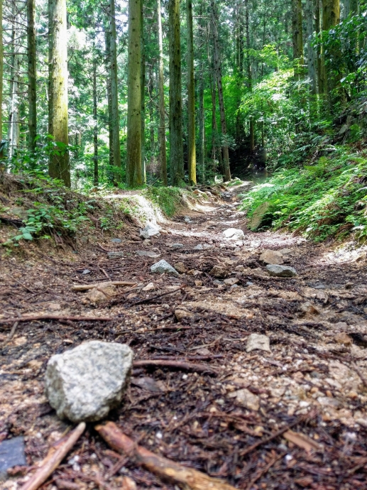 高取城 坂道