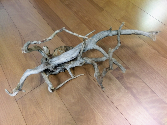 45cm¿åÁå¡¡¥ê¥»¥Ã¥È¡¡¥½¥¤¥ë¡¡ÄìÌÌ¥Õ¥£¥ë¥¿¡¼¡¡Î®ÌÚ