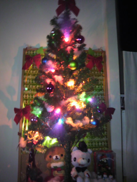 2010122600280001.jpg