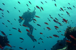 Nusa Penida