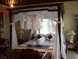 Bali Villa