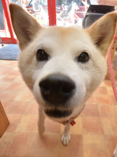 2014_7_21_1.jpg